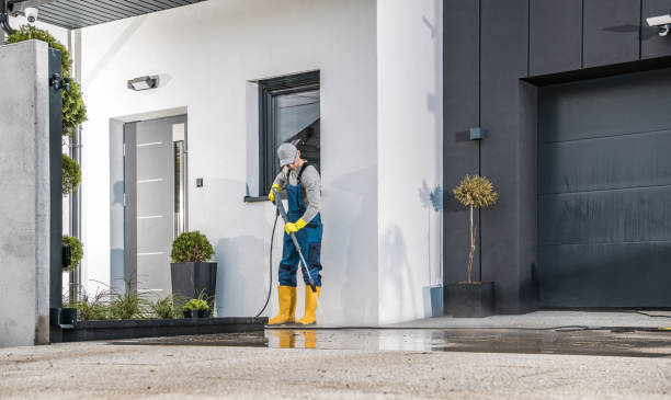 Best Sidewalk and Walkway Pressure Cleaning in Talluh, LA